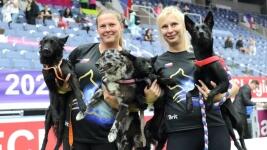 agility M stribne ceske druzstvo